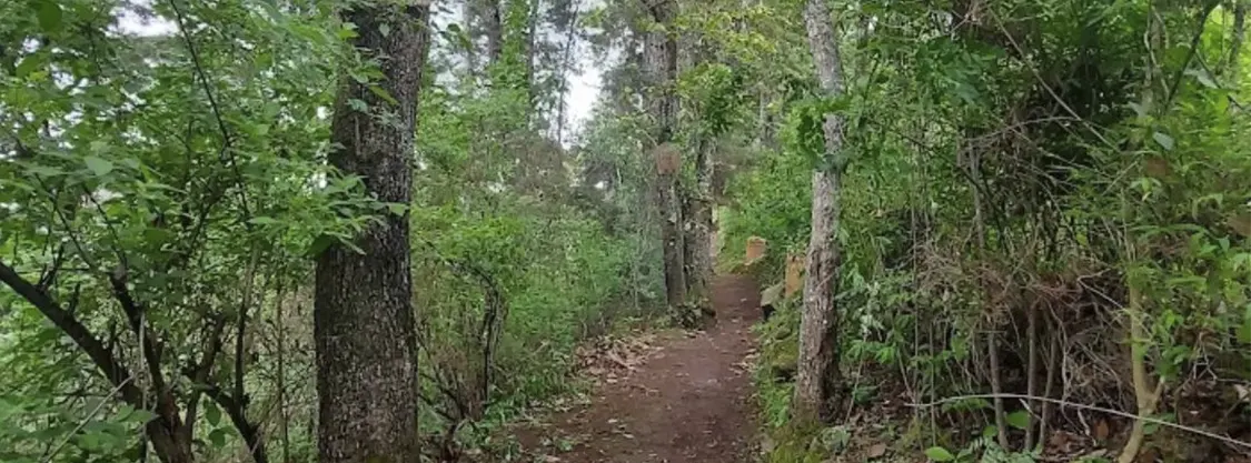 Foto: Ecoturismo Pachun