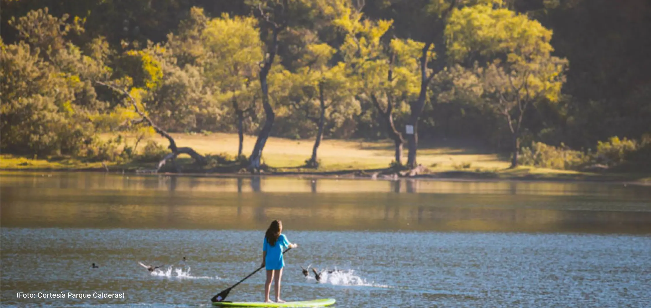 actualidad-vida-29-4 (1)