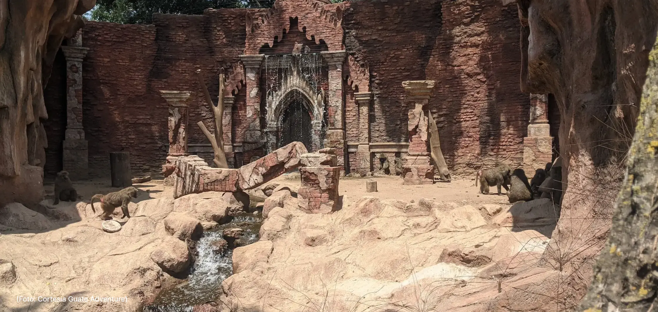 actualidad-vida-29-4 (3)