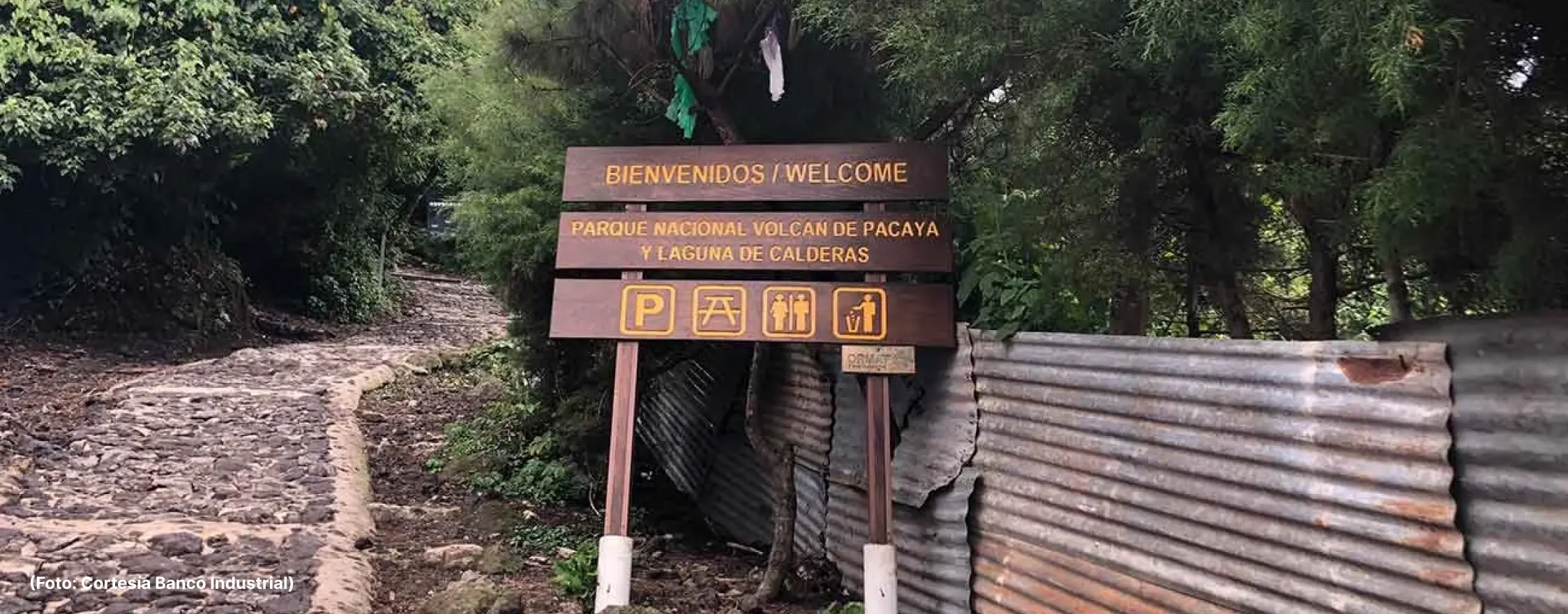 volcan-Actualidad-vida16-4A