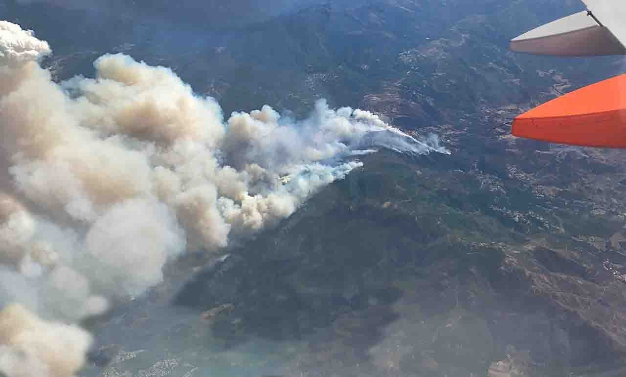Incendios forestales, ¿cómo ocurren_ ¿cómo evitarlos_ medidas de seguridad