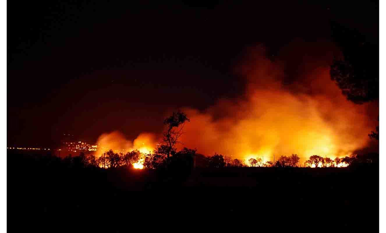 Incendios forestales, ¿cómo ocurren_ ¿cómo evitarlos_ medidas de seguridad2