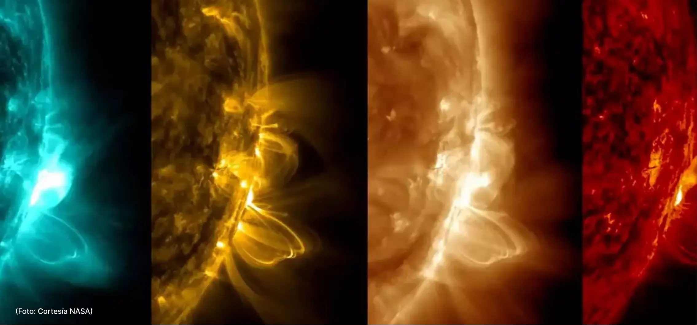 actualidad-17-05 (1)
