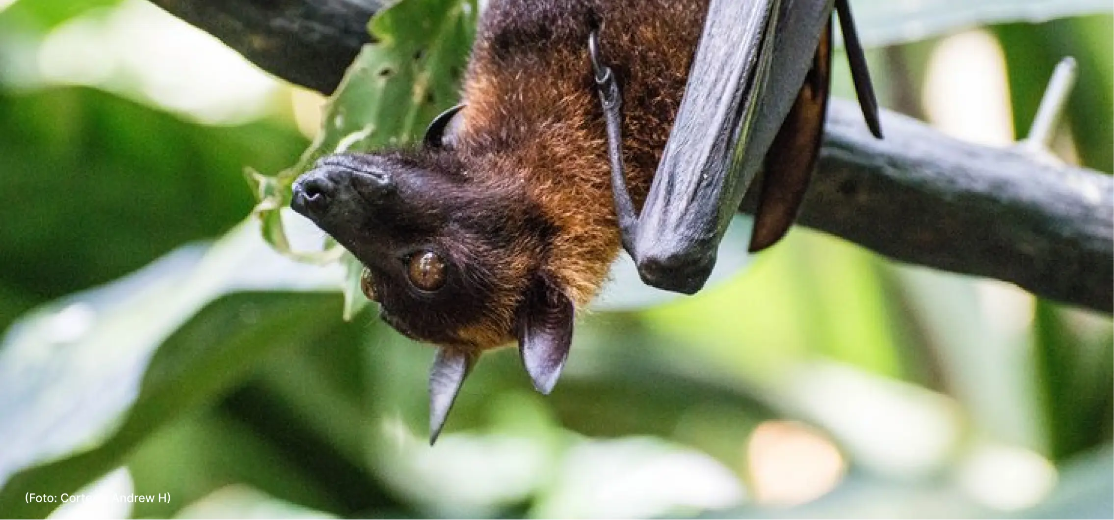 actualidad-comunidad-15-5 (1)