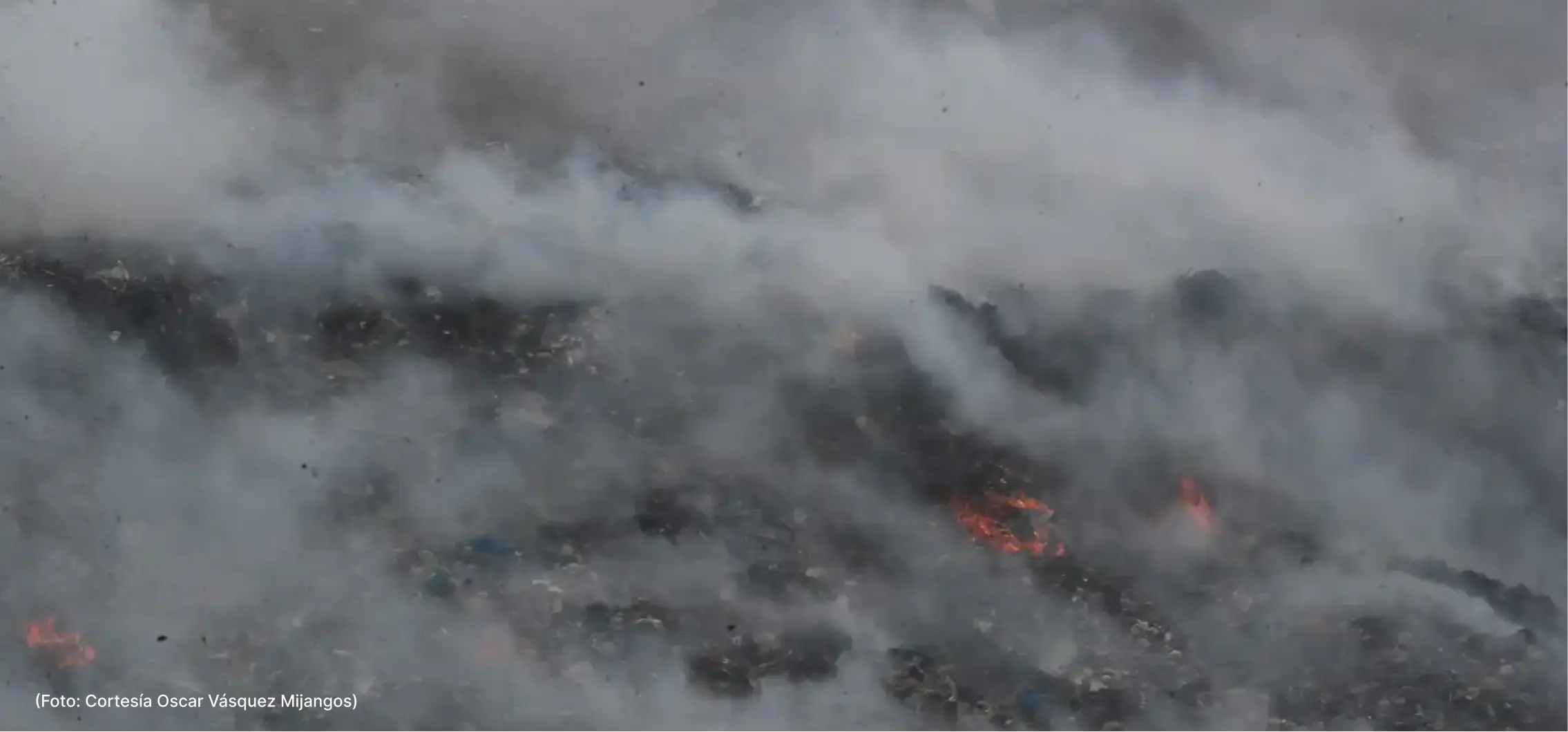 actualidad-comunidad-20-5 (2)