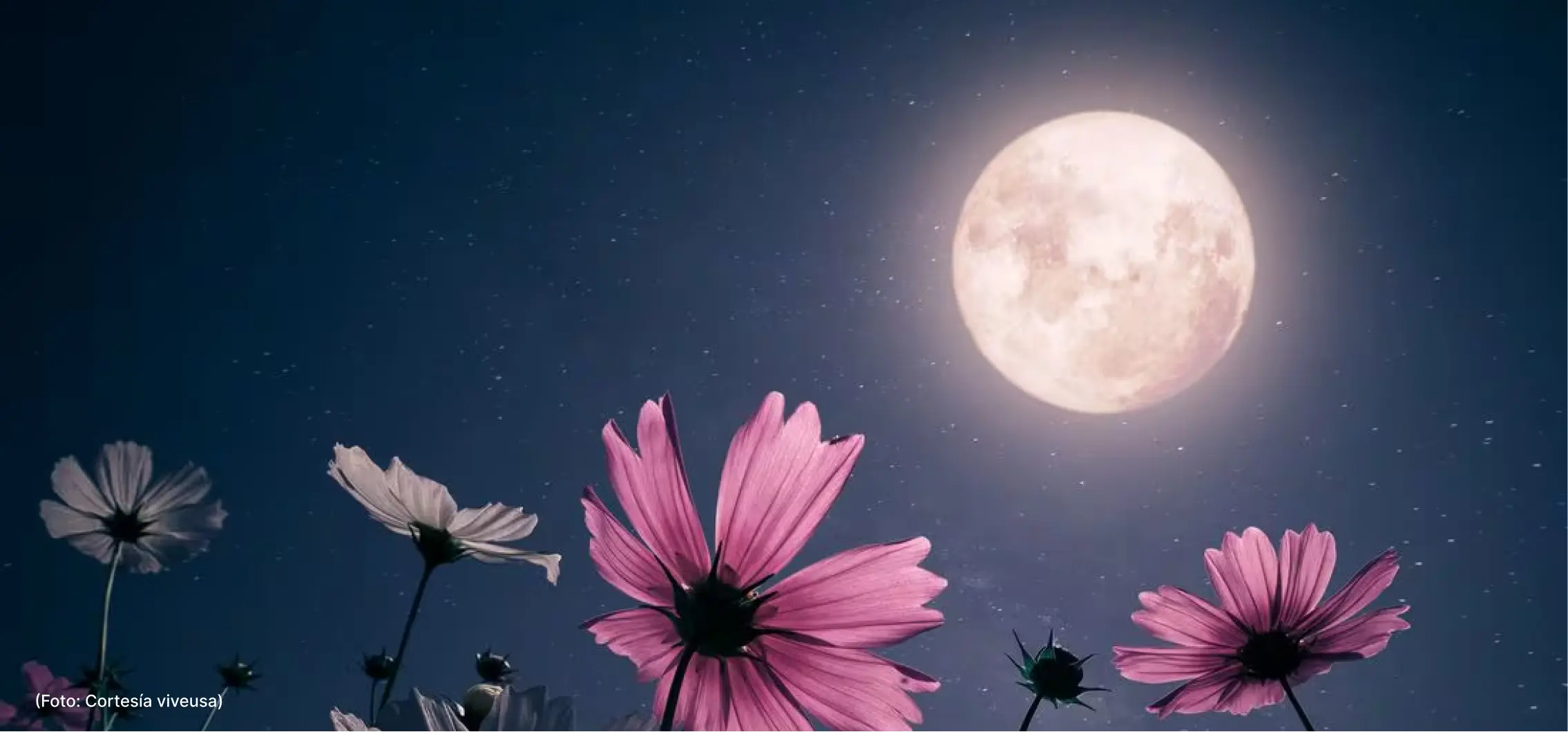 actualidad-comunidad-22-05 (1)