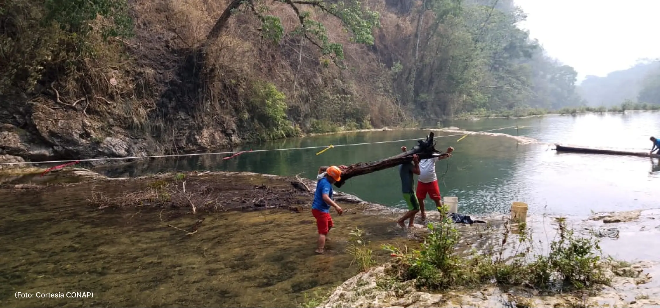 actualidad-comunidad-22-5 (2)