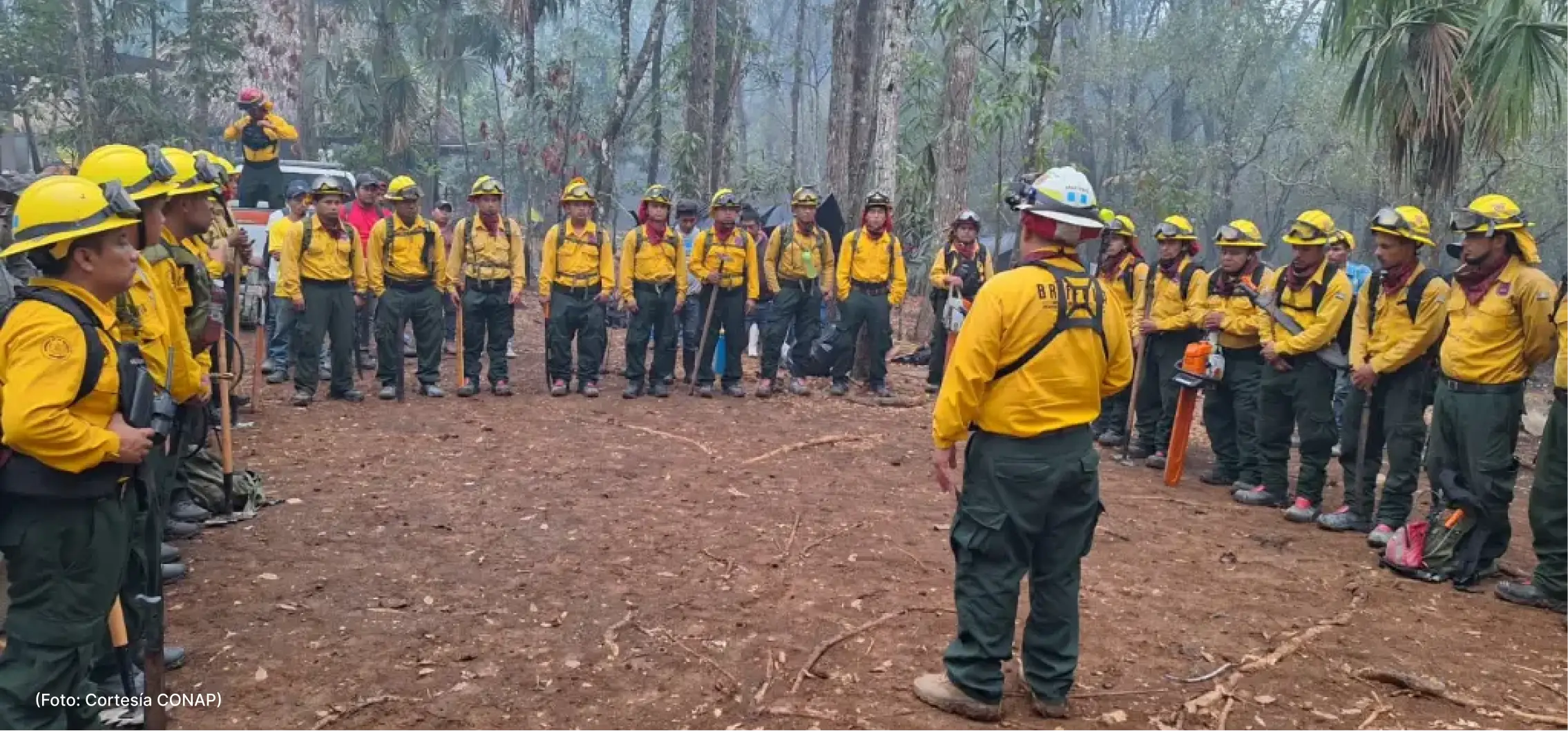 actualidad-comunidad-22-5 (3)