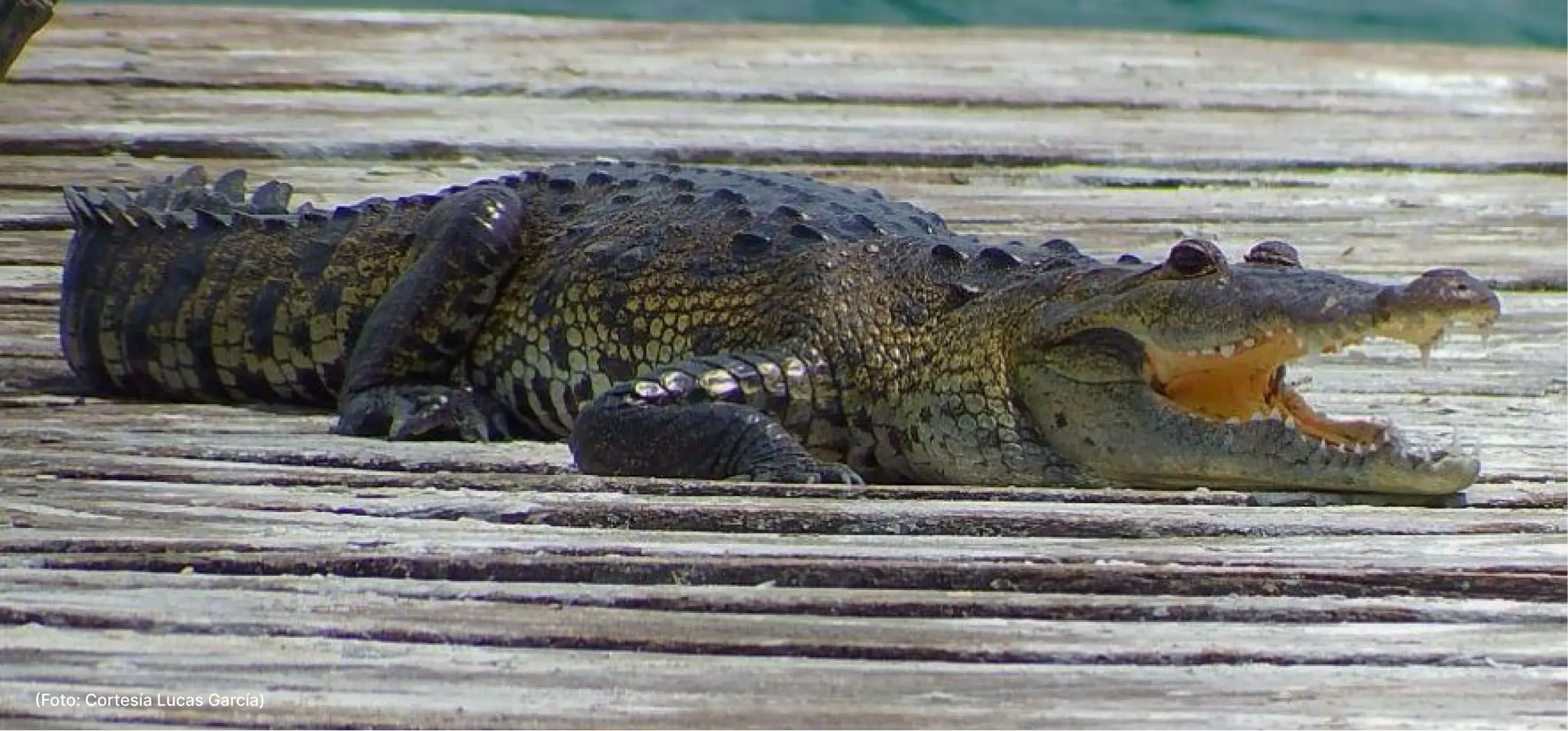 actualidad-comunidad-23-05 (2)