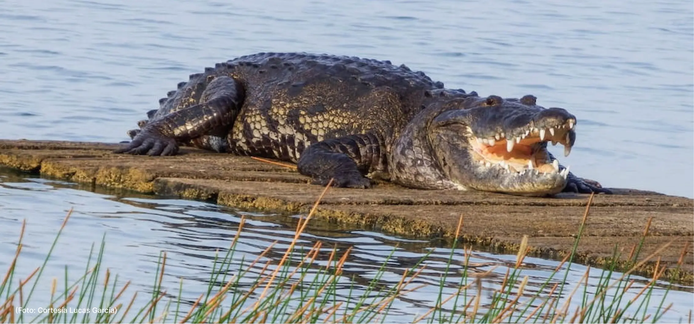 actualidad-comunidad-23-05 (3)
