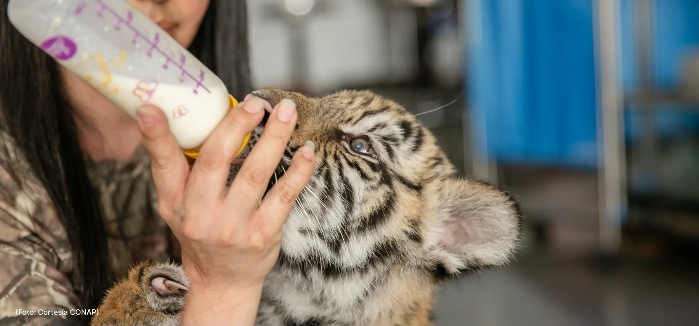 actualidad-comunidad-27-05 (3)