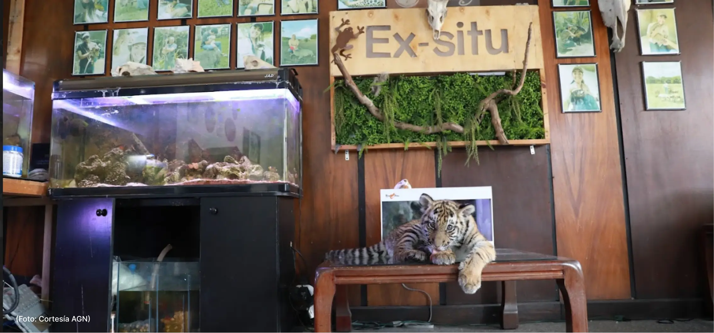 actualidad-comunidad-28-05 (2)