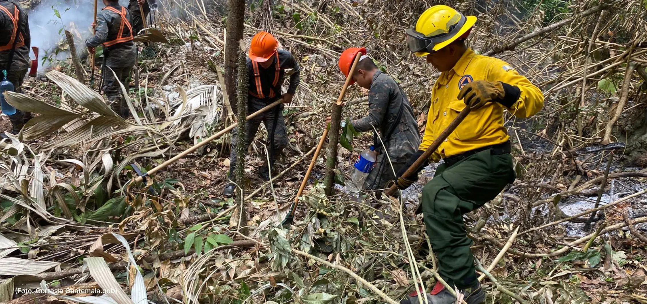 actualidad-comunidad-4-5 (1)