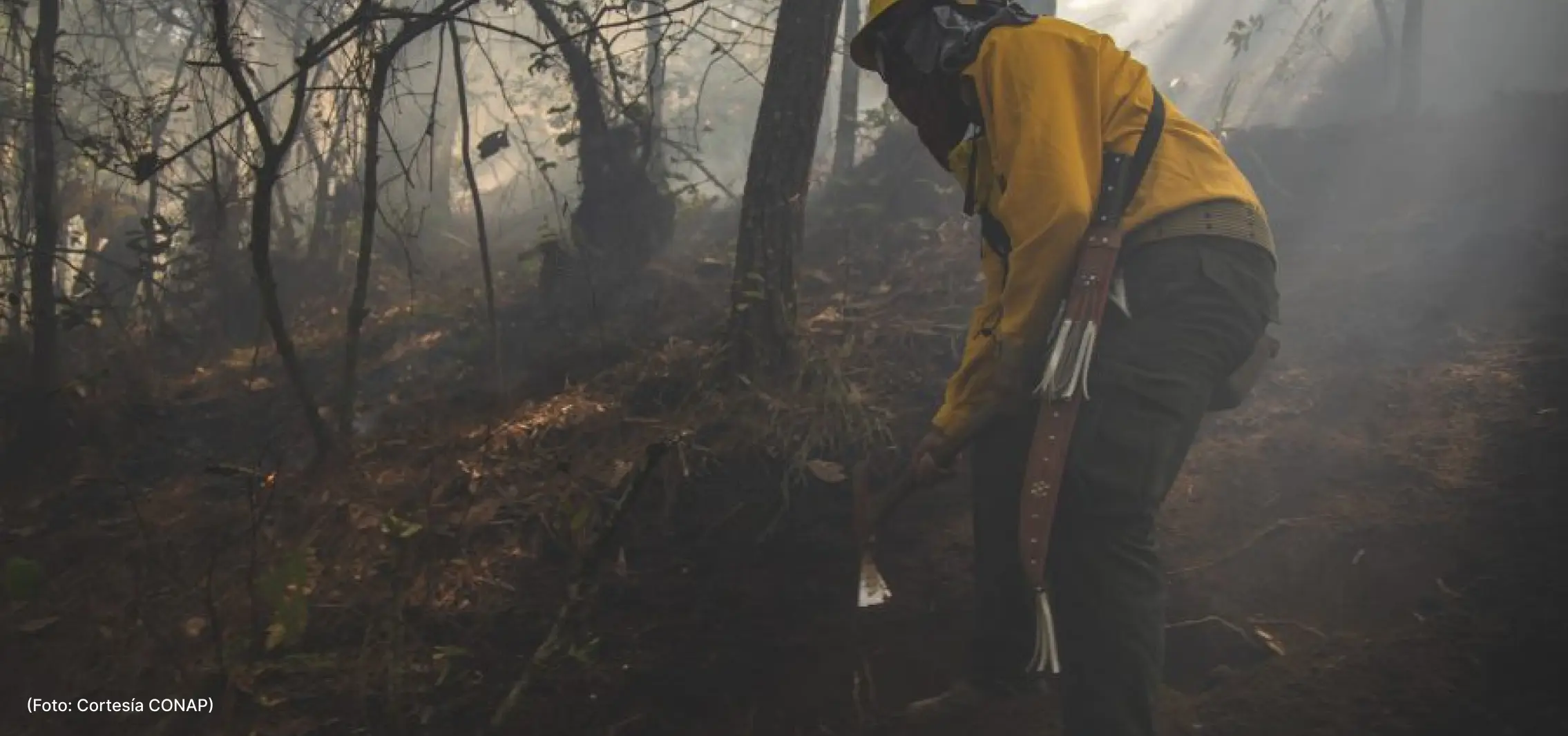 actualidad-comunidad-4-5 (3)