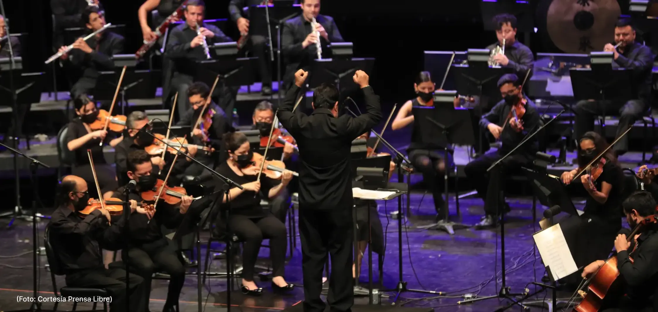 actualidad-mùsica-2-5 (4)