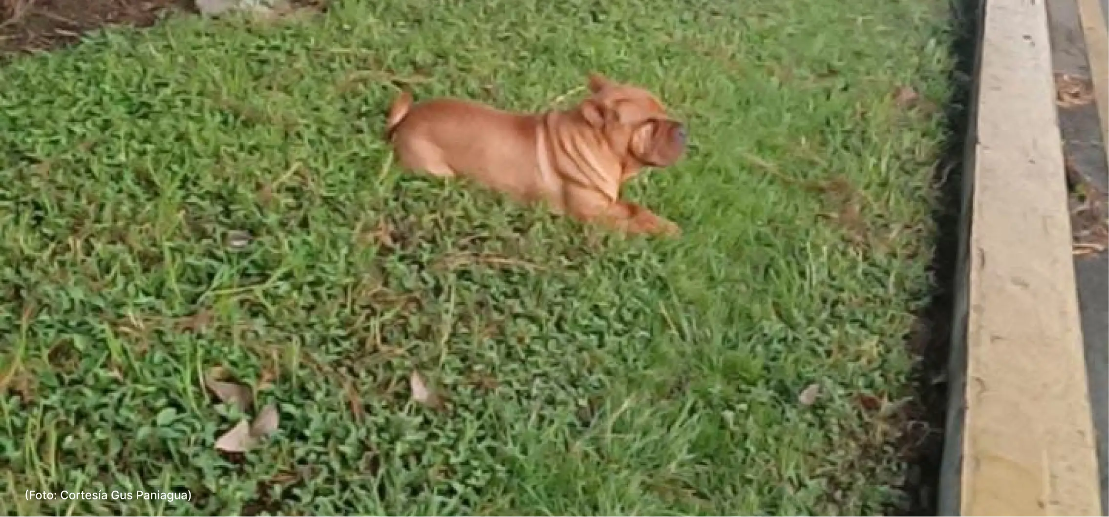 actualidad-sociedad-5-6 (2)