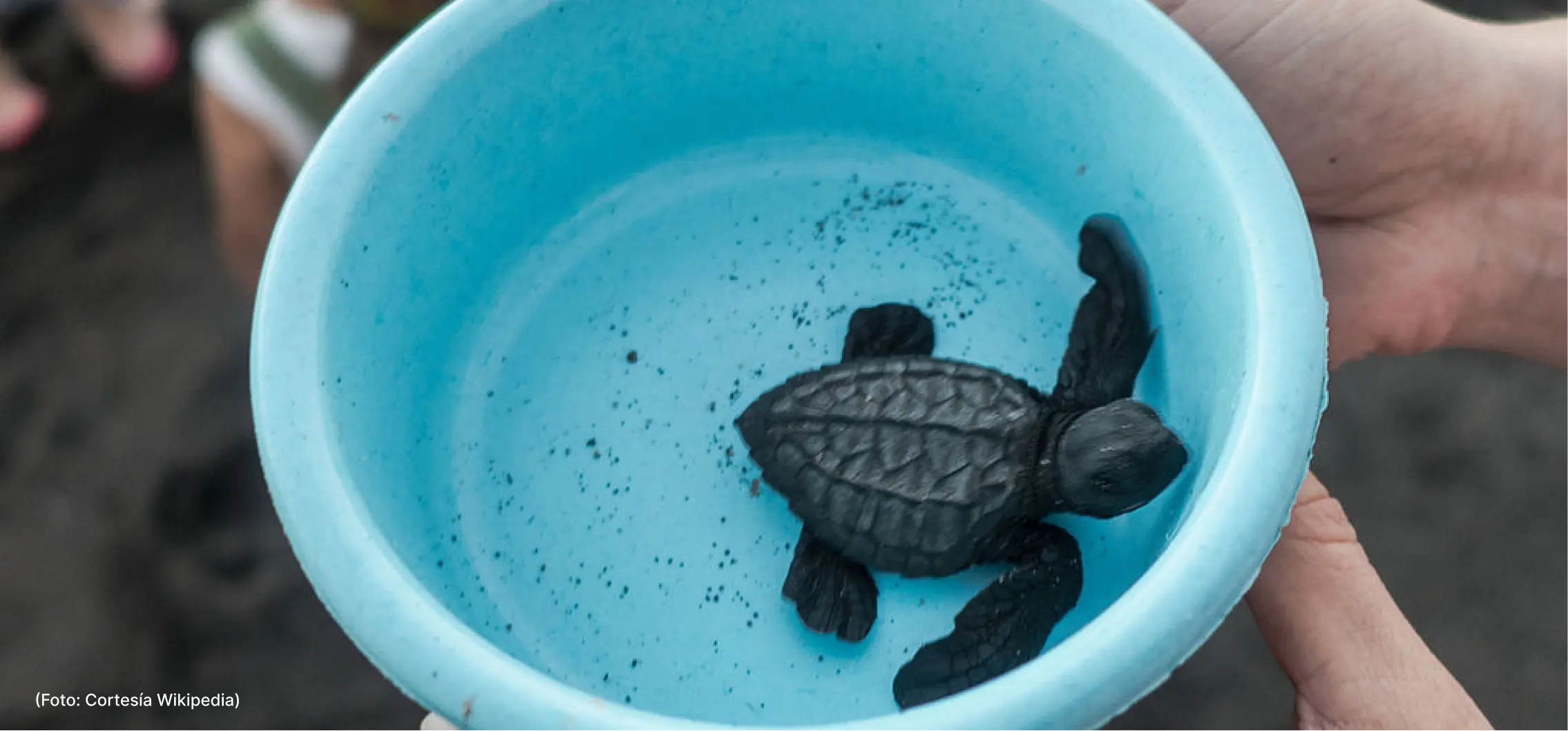 actualidad-vida-15-06 (2)