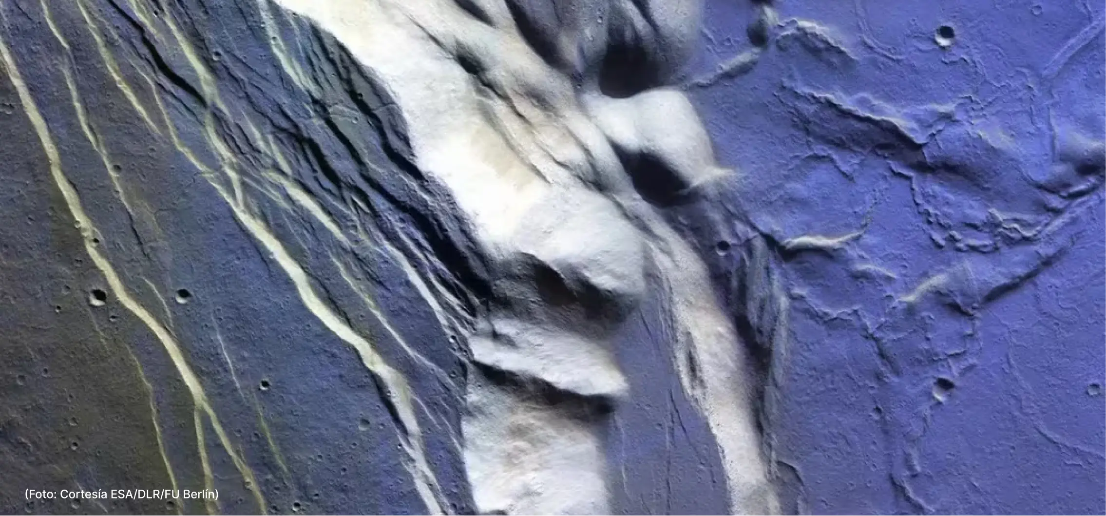 actualidad-vida (2)-12-6