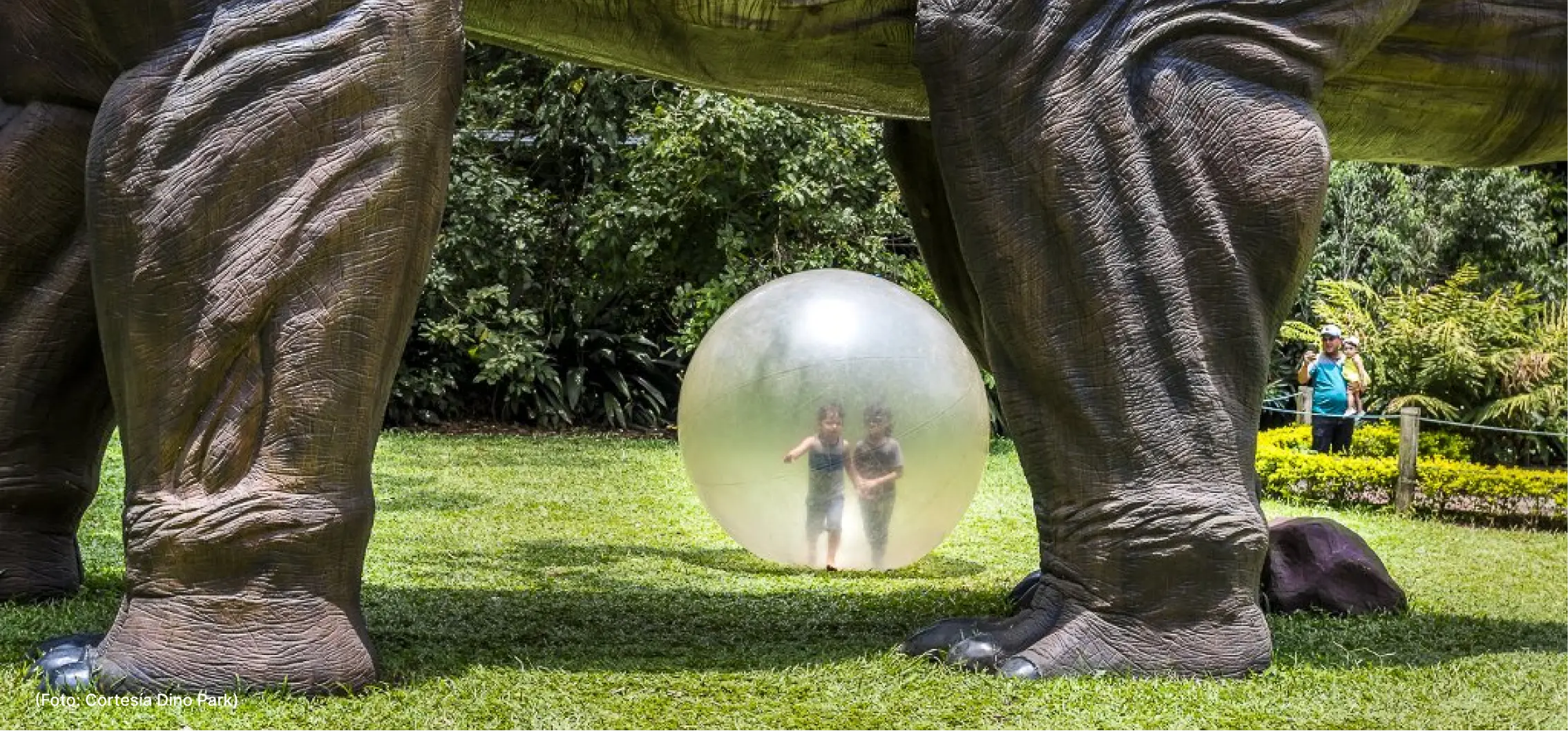 actualidad-vida-26-06-dino-park (2)