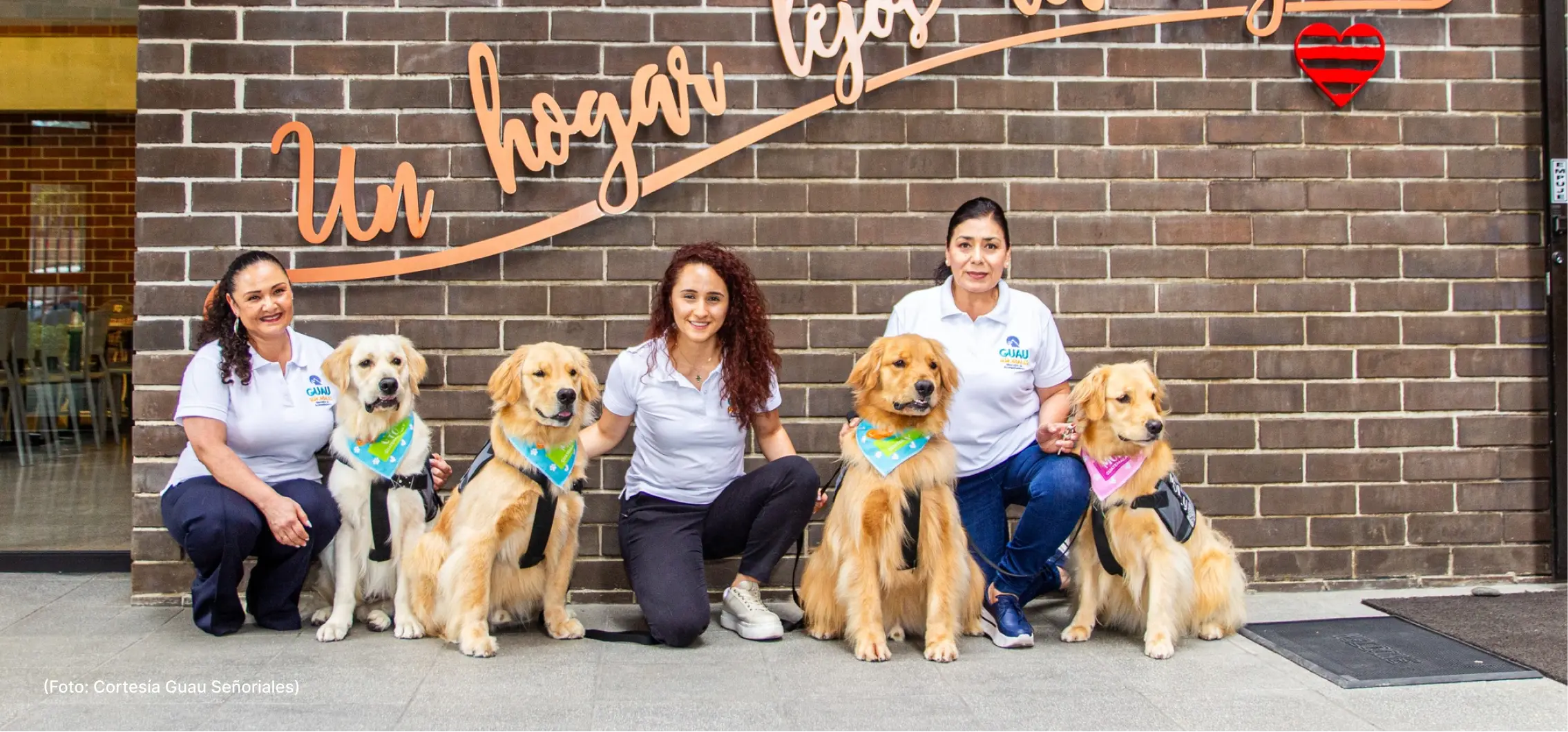 actualidad-comunidad-23-7-teleton-guau-señoriales (1)