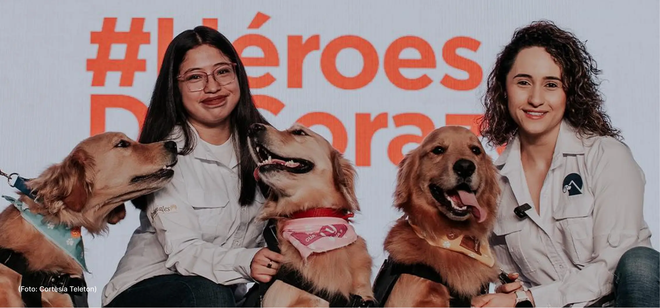 actualidad-comunidad-23-7-teleton-guau-señoriales (2)