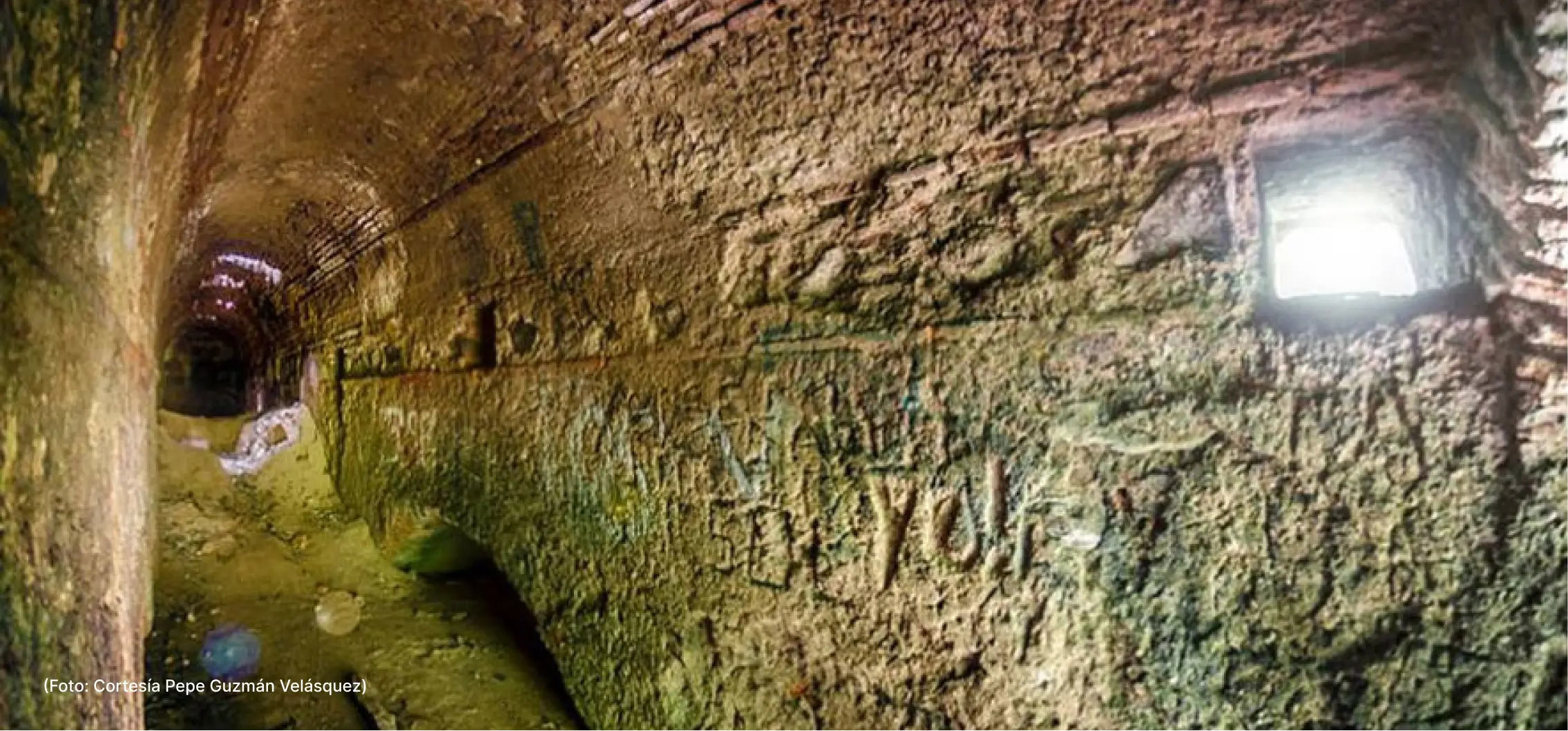 actualidad-vida-11-7-cueva-del-negro (2)