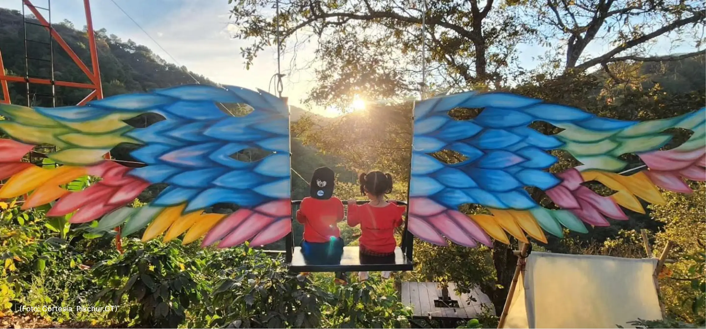 actualidad-vida-25-7-Pikchur (2)