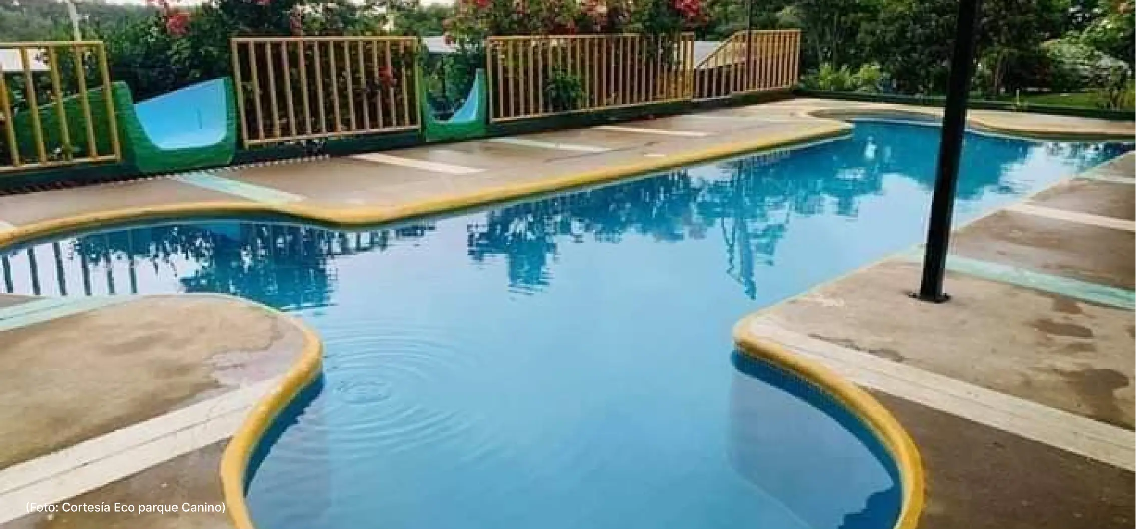 actualidad-vida-4-7-mascotas (1)