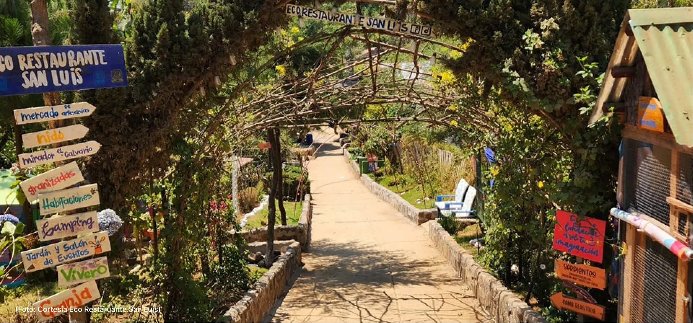 actualidad-vida-4-7-mascotas (2)