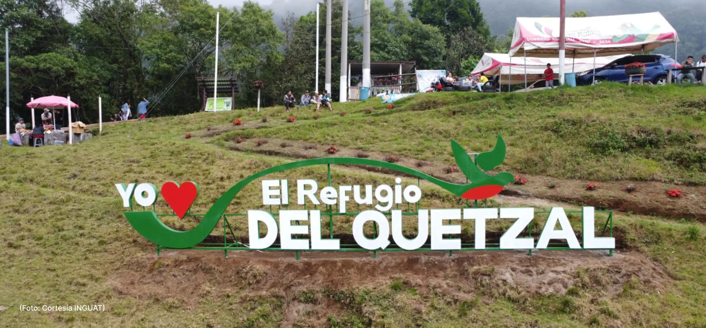 actualidad-vida-22-8-quetzal (3)