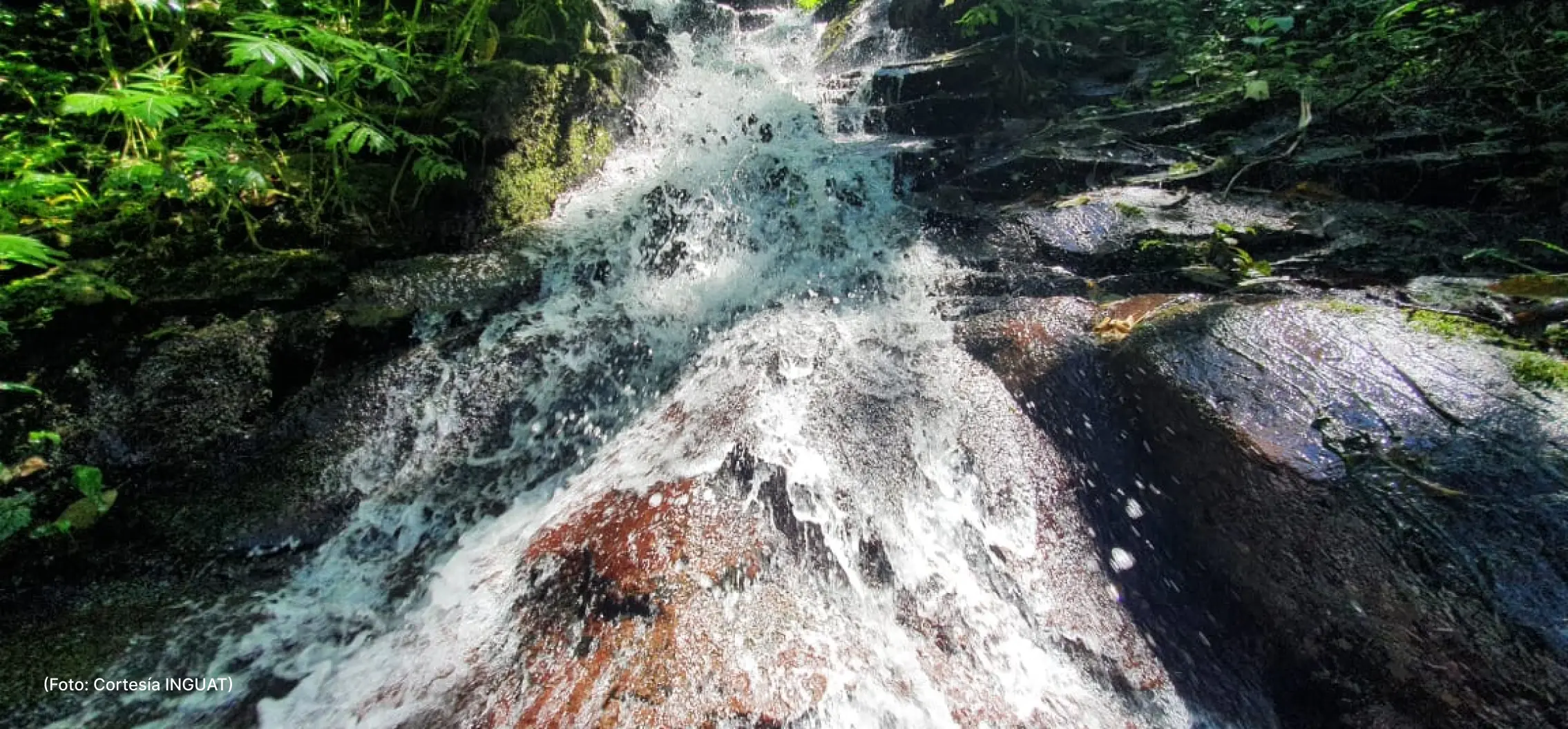 actualidad-vida-22-8-quetzal (5)