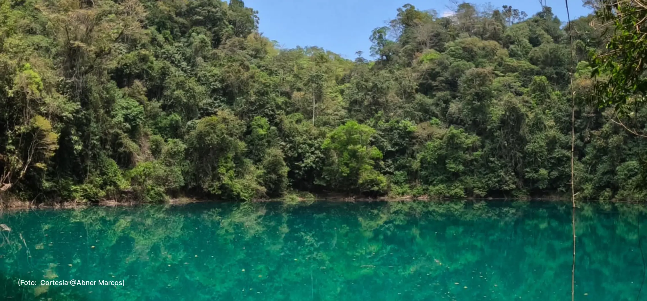 actualidad-vida-30-8-Cenotes de Yalanhuitz (2)