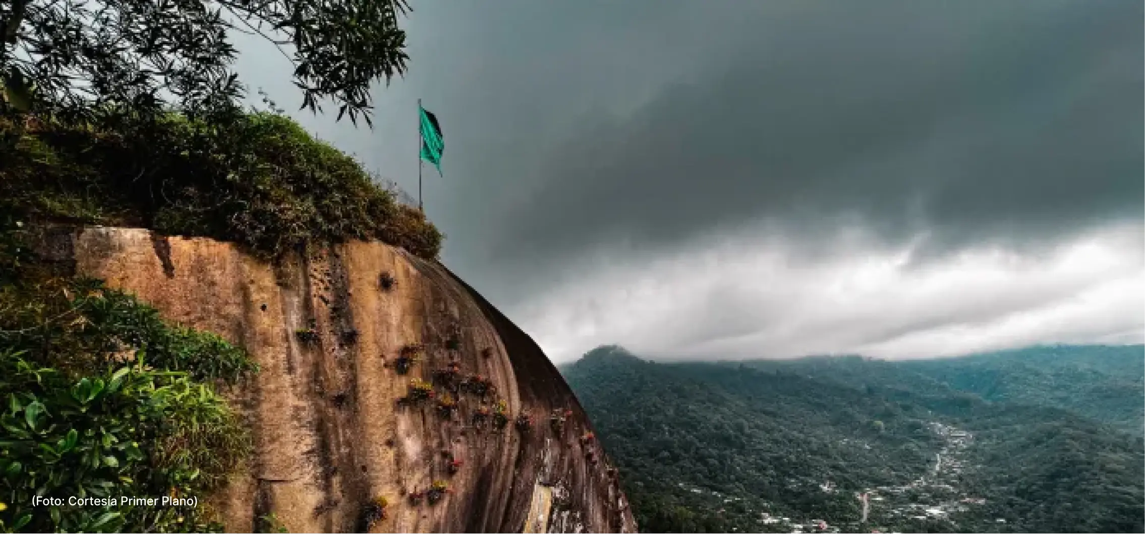 actualidad-vida-pico-loro-7-8 (1)