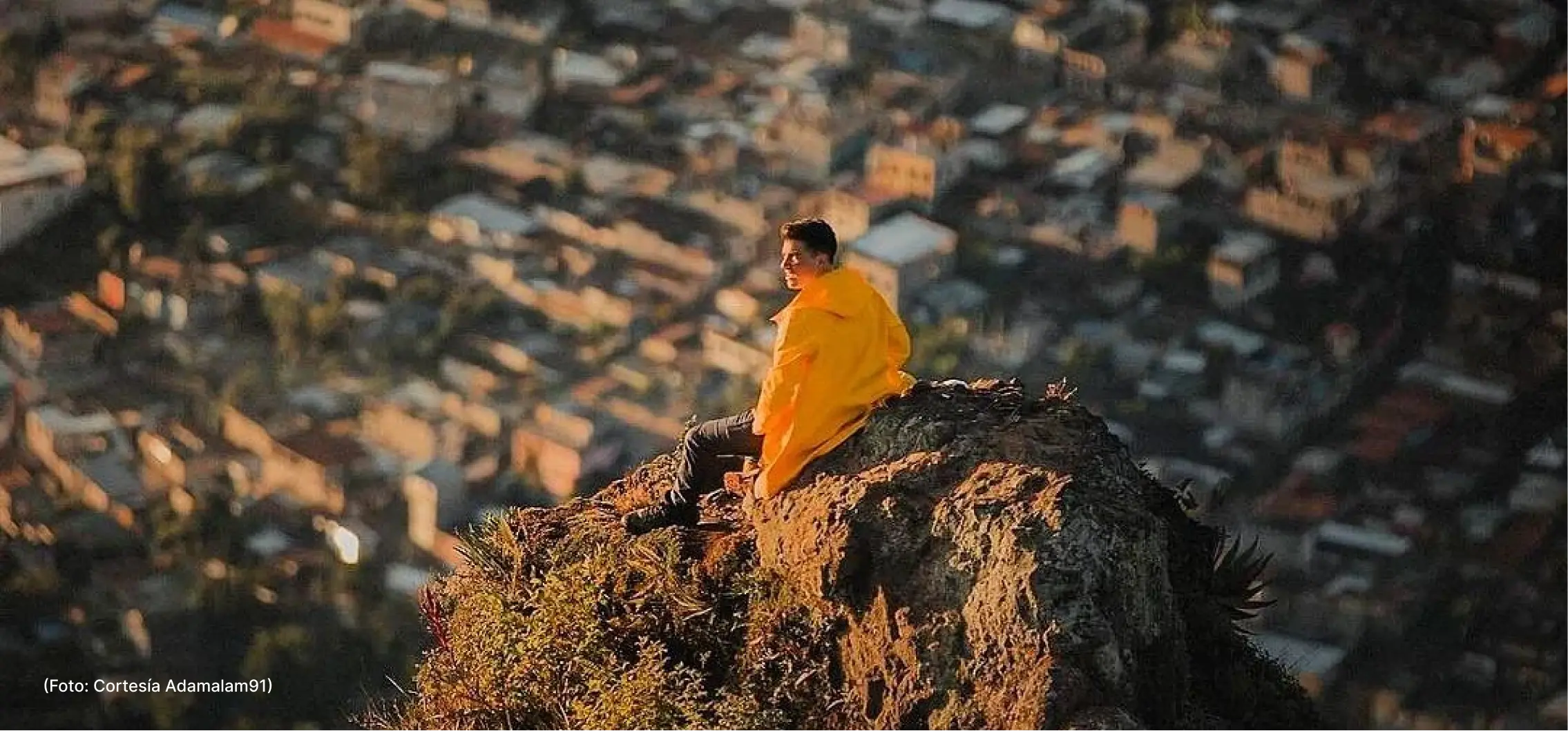 actualidad-vida-pico-loro-7-8 (3)