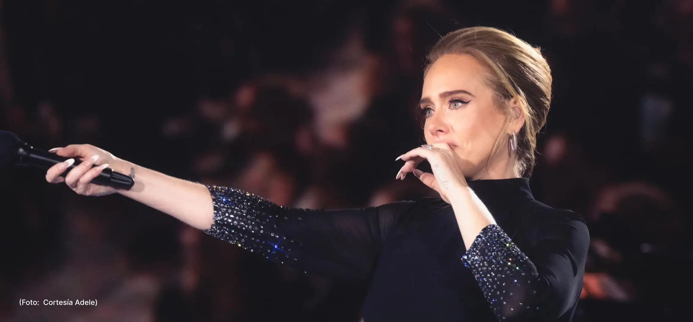 actualidad-musica-3-9-adele (2)