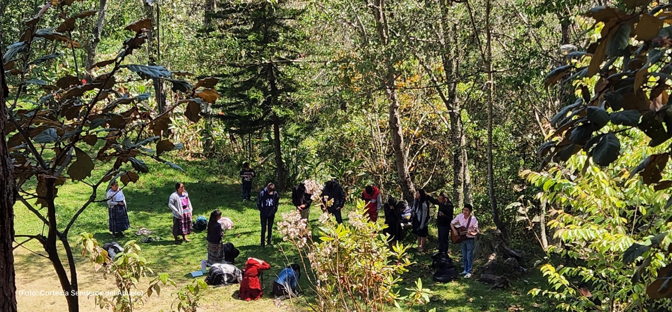 actualidad-vida-27-9-senderos-abuelo (3)