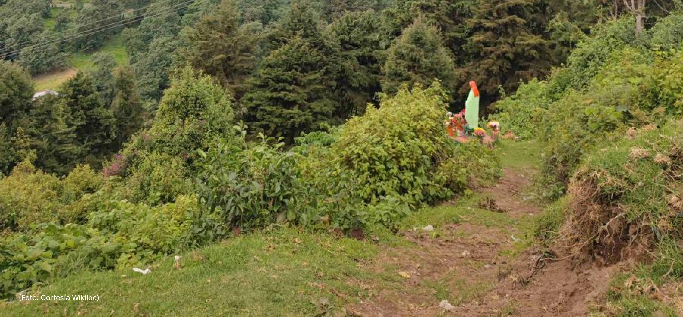 actualidad-vida-monte-sinai-28-9 (1)