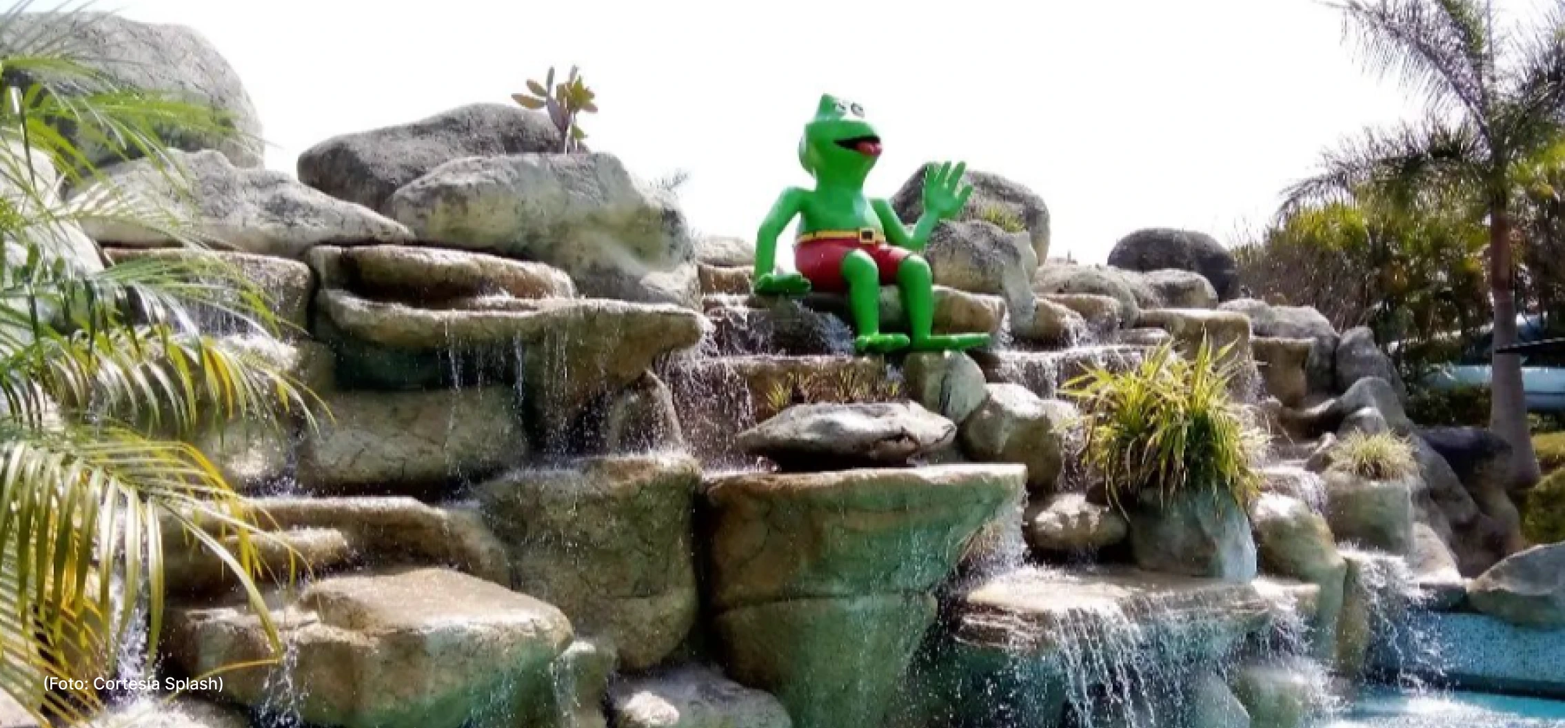 actualidad-vida-splash-9-19 (2)