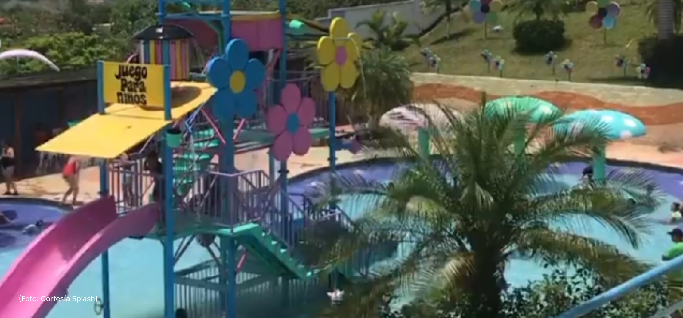 actualidad-vida-splash-9-19 (3)