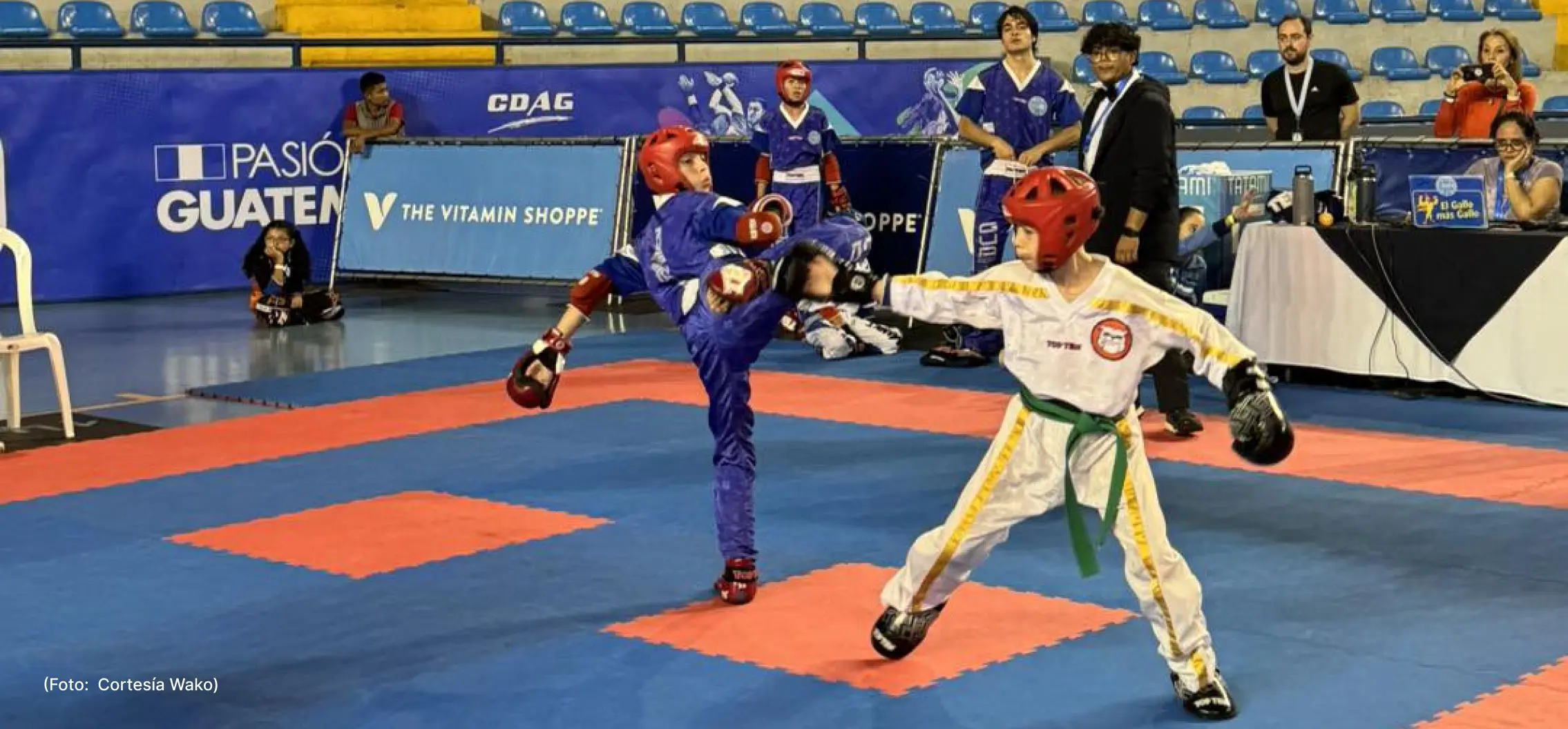 deporte-artes-marciales-kickboxing-8-9 (3)