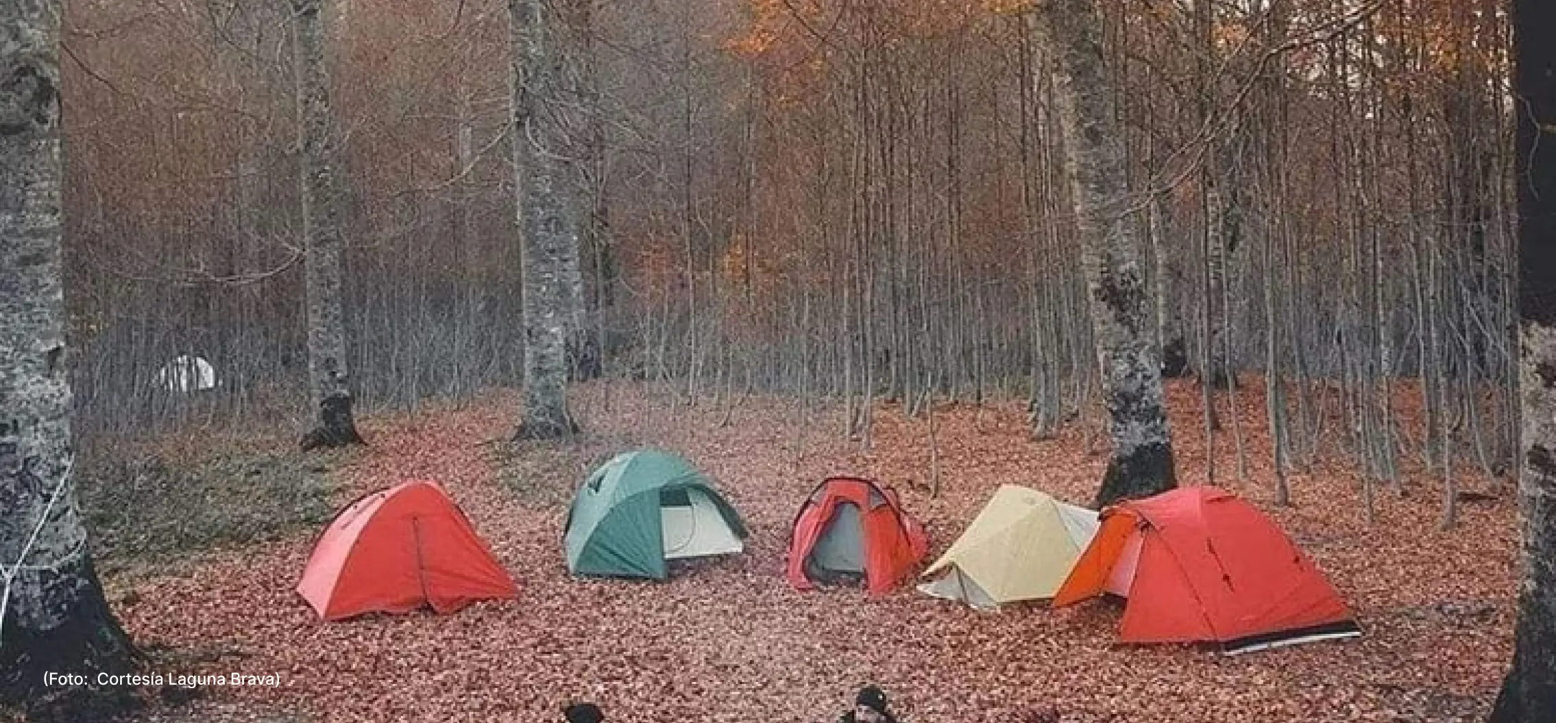 laguna-brava-actualidad-vida-9-8 (4)