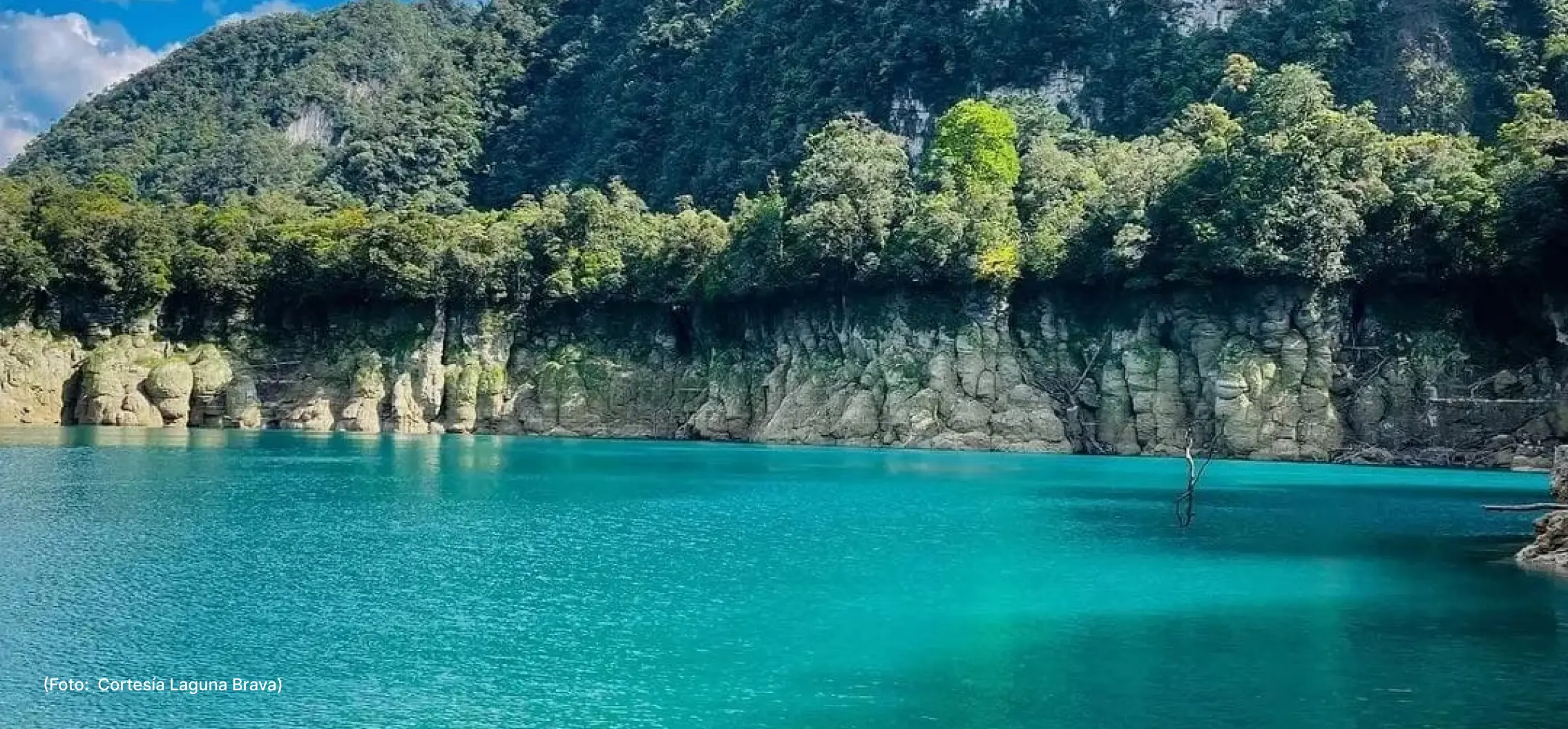 laguna-brava-actualidad-vida-9-8 (5)