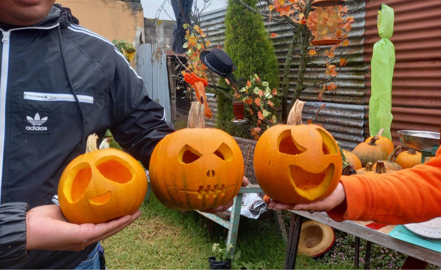 actualidad-25-10-vida-calabazas (3)