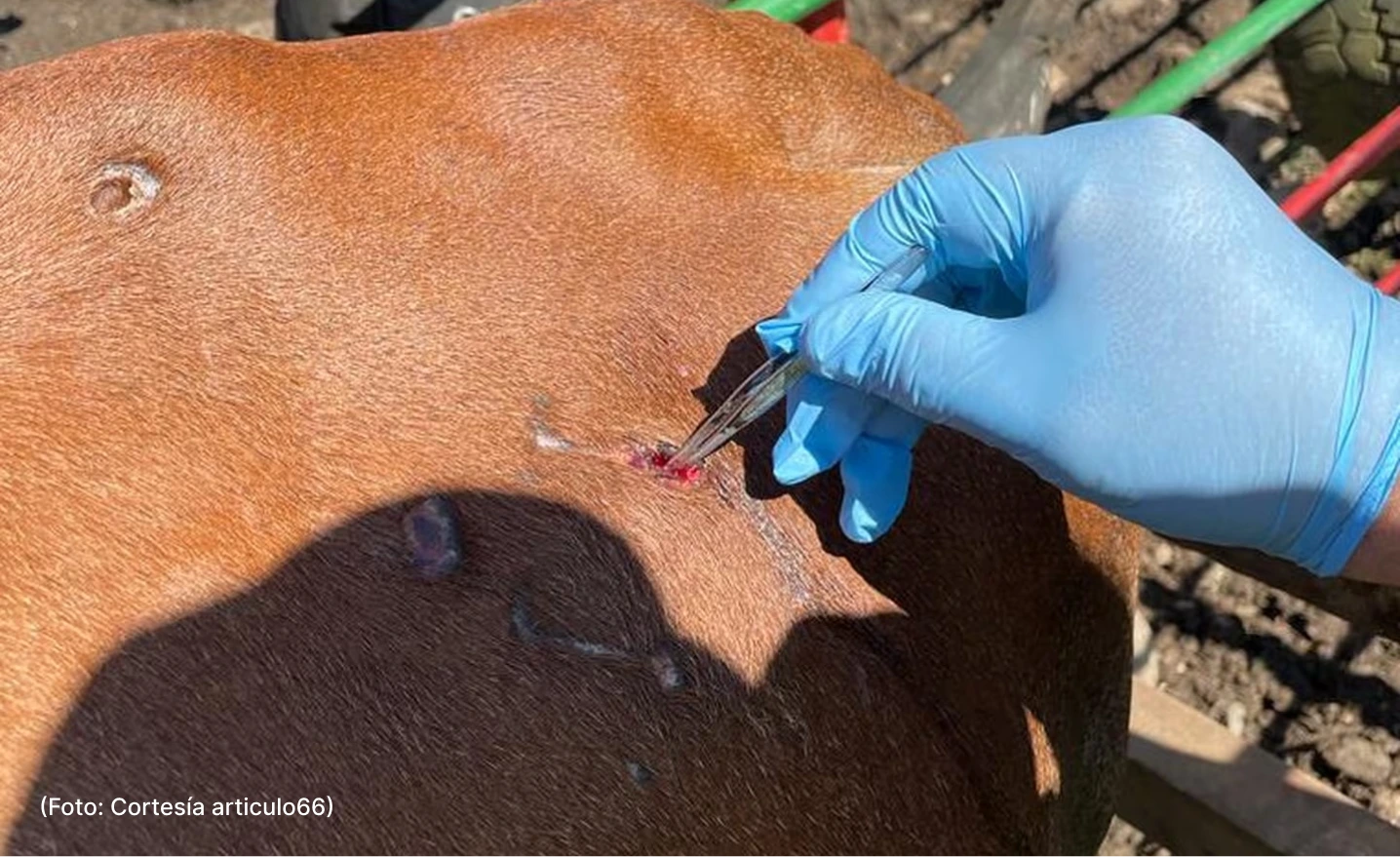 actualidad-comunidad-10-29 (1)