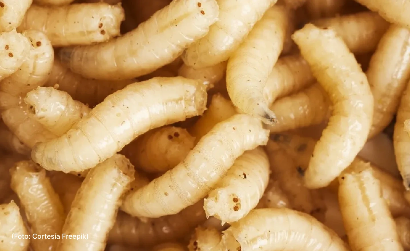 actualidad-comunidad-10-29 (3)