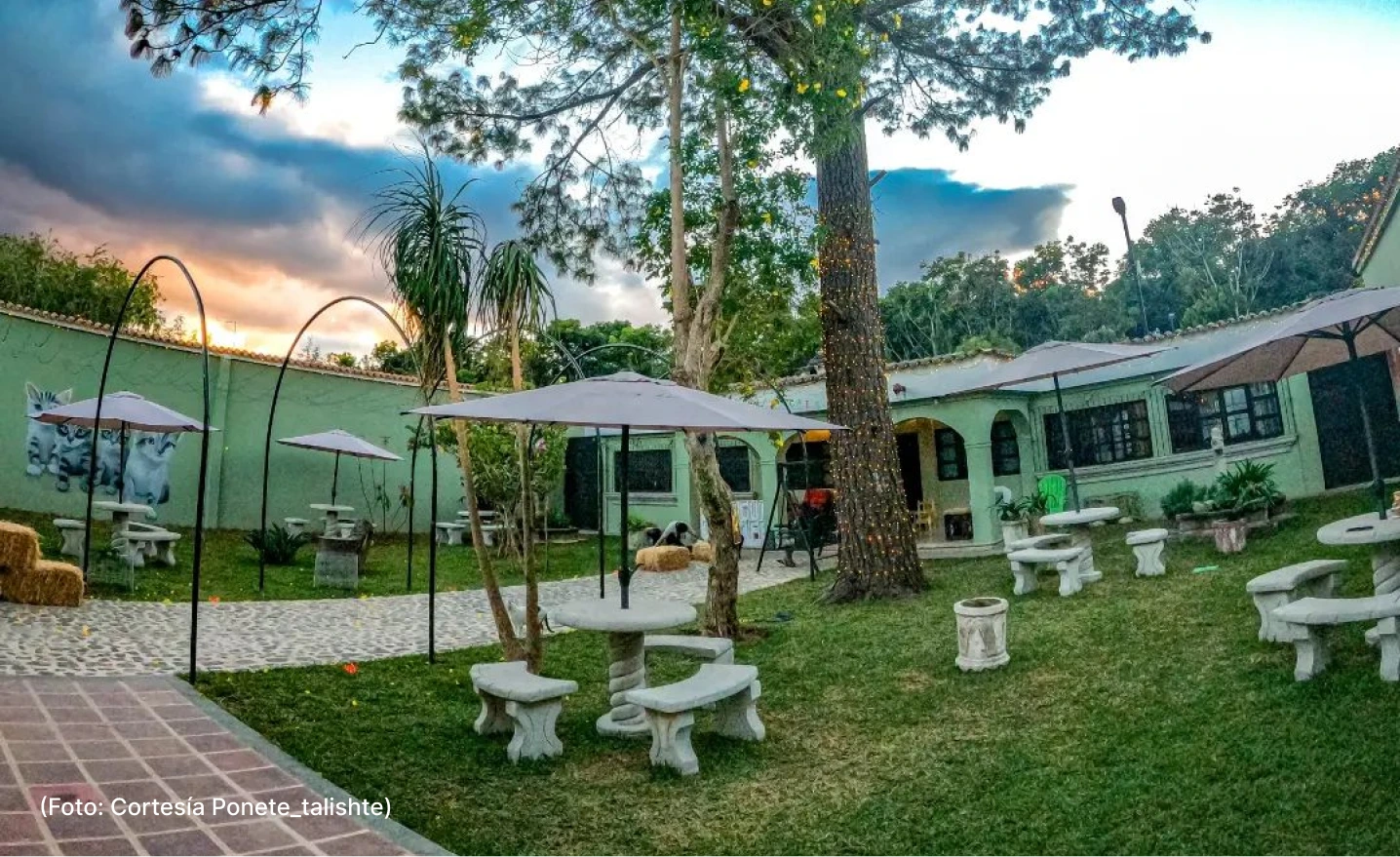 comida-restaurates-cat-cafe-29-10 (3)