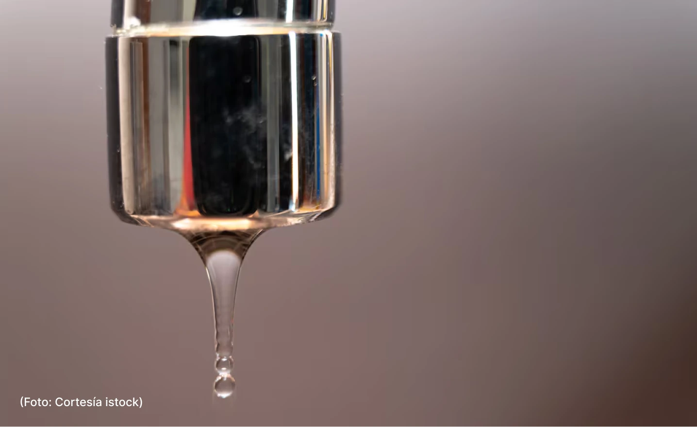 actualidad-comunidad-11-11 (2)