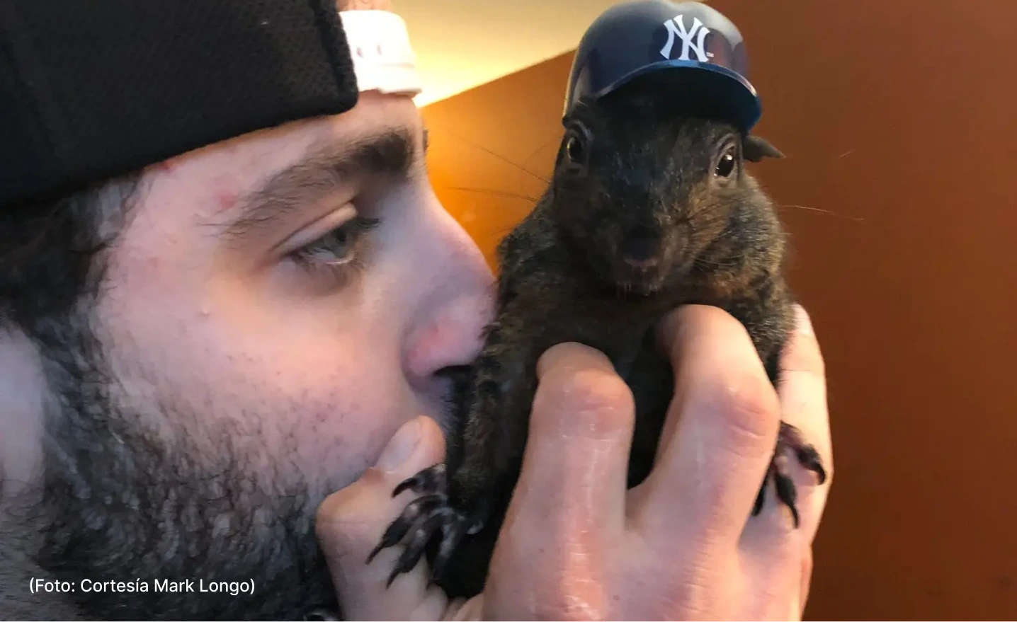 actualidad-entretenimiento-peanut-4-11 (3)