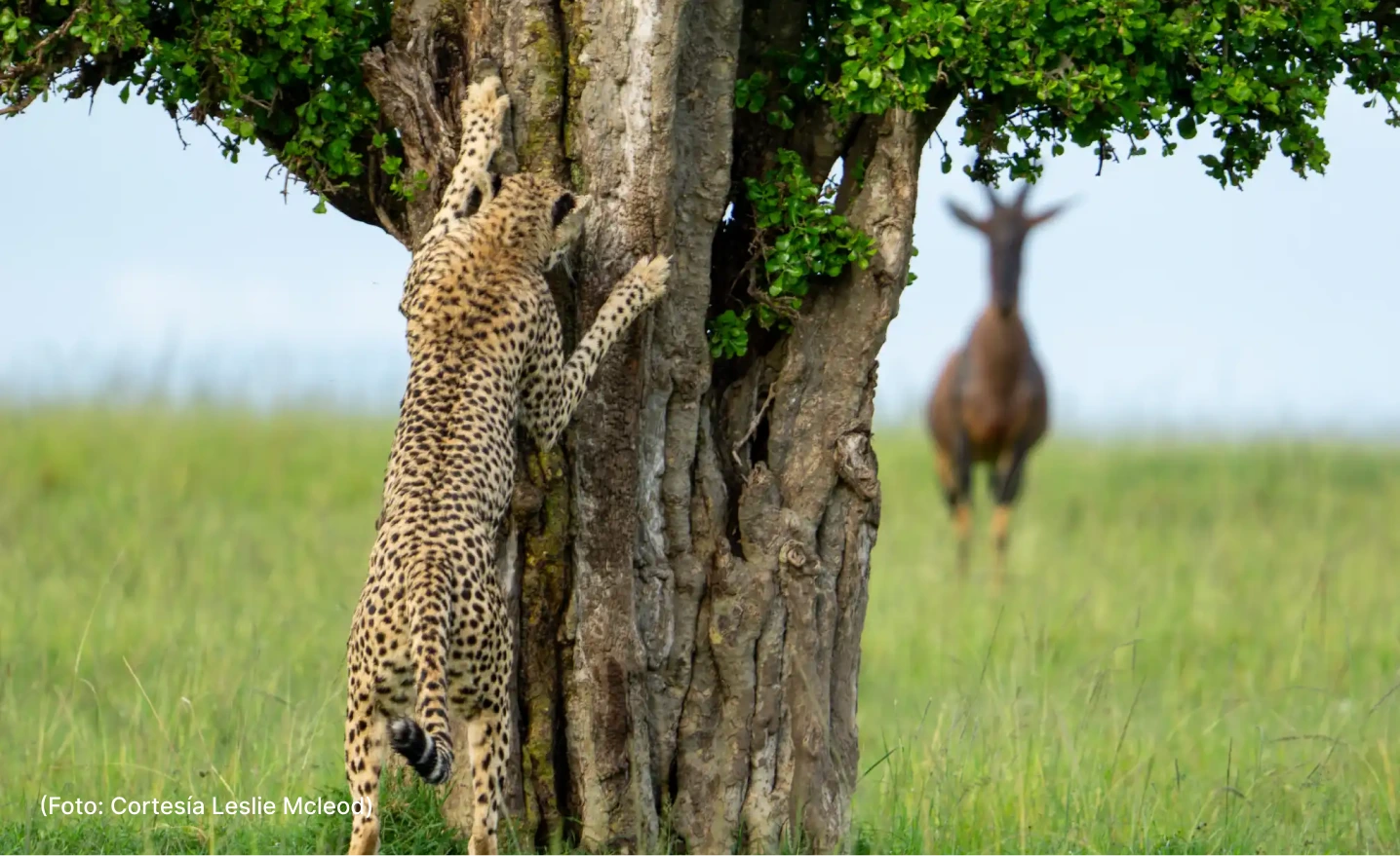 actualidad-vida-11-4-comedy-photos (1)