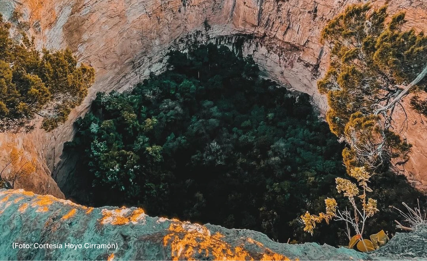 actualidad-vida-cimarron-8-11 (1)